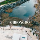 O.K농장 | 캠핑일기ep.15_ 은광디미 캠핑장 솔직후기 ㅣ넓은 사이트 시설 깨끗한 청도 캠핑장 별마당20사이트