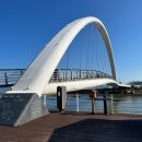 사류