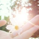 푸른세상 이미지