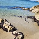 숙희민박 이미지