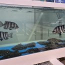 (유)바다향 이미지