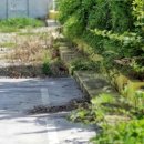 북면초등학교화천분교장 이미지