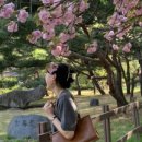 낙동강변로4-3 이미지