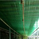 금강산 민박 이미지