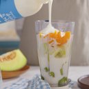 의령농장 | 극한직업 수제 요거트 요구르트 치즈 택배 의령 주문 후기 할인