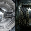 e-향기로운 세탁 | [1편] 세탁기 냄새, 락스를 부어도 절대 안 없어지는 진짜 이유 (충격 주의)