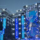 쿨 | 2025 카스쿨 페스티벌 후기 축제 준비물