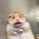 영농농장 이미지