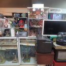 허리우드 이미지