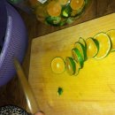 영희농장2 이미지