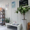 아담치과의원 이미지