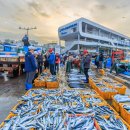 울진어패류 이미지