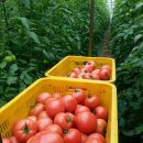 청호농장 이미지