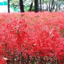 드럼교실(야간) 이미지