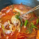 솔향이 진한 | 경포대 아침식사 추천! 강릉 애견동반식당 &#34;뉴솔향초당순두부&#34; 방문 후기🙆‍