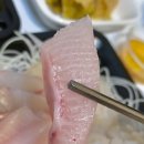 20회수산 이미지