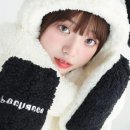 2779 이미지