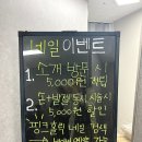 핑크홀릭네일 이미지