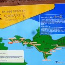 신지도