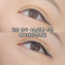 카라네일 - 고양시 일산동구 | 일산 속눈썹 펌 연장 잘하는 마두 에그래쉬앤네일 후기