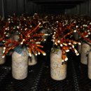 신후농장 이미지