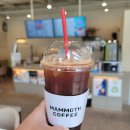 통일익스프레스 옆 이미지