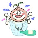 국시세상 이미지