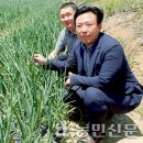 해남농우