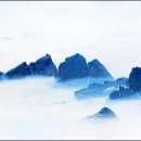 경북 경주 읍천 티스토리