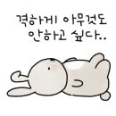 유펫