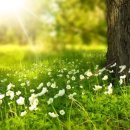 등산로 입구 이미지