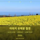 가케하시 | 오사카 근교 여행 아와지시마 하나사지키, 입장료 0원 인생샷 성지