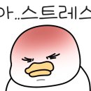 베베퓨어 이미지