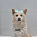 오구오구 이미지