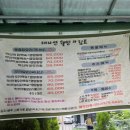 칠곡 대자연가든 대구 근교 물놀이식당