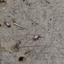 남동체육관 이미지