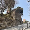 아름다움을먹다 | 중림동 약현성당 결혼식 후기 🤍 고즈넉하고 경건했던 하루