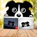 프리티도그 이미지