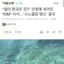 “설마 한국인 짓?” 산호에 새겨진 ‘KIM’ 낙서…‘스노클링 명소’ 결국 이미지