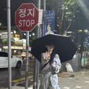유명숙녀복 네이버블로그