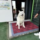 노란공테니스장