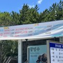 금능맛차롱 협동조합 | 금능해변맛집 찾는다면? 제주 바다와 함께 즐기는 ‘금능맛차롱’ 🌊🌭🍊