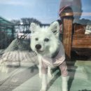 빙수네민박 이미지