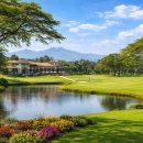 시니어 영어 심화 이미지