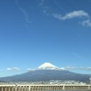 하늘 빛 꿈 | [시즈오카 후지노미야] 꿈의대교 웨이팅, 좌측 우측 대교 비교, 날씨 옷 착장 후기