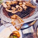 멍텅구리꼼장어 이미지