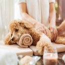 성남동물병원 이미지