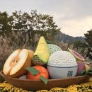 영암곤충박물관 | 영암 곤충박물관 솔직후기