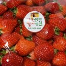 보니따캠핑펜션 네이버블로그