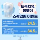 도곡치유동물병원 이미지